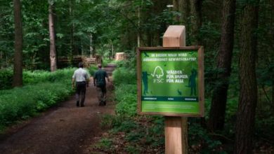 Sofidel pide una ley efectiva de la UE para proteger los bosques y los ecosistemas naturales
