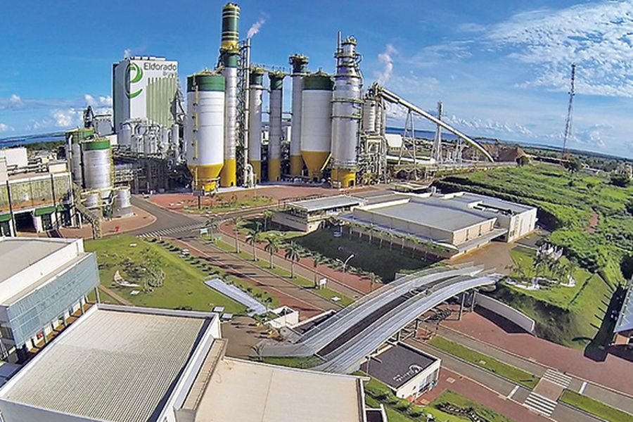 Insisten en la instalación de una fábrica de celulosa y papel en Corrientes, Argentina.